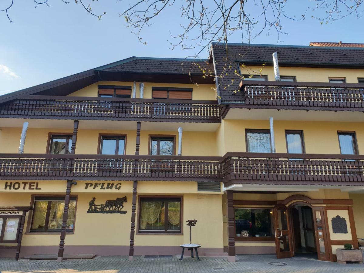 Ringhotel Garni Pflug أوبركيرش المظهر الخارجي الصورة
